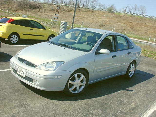 focus with cougar rims