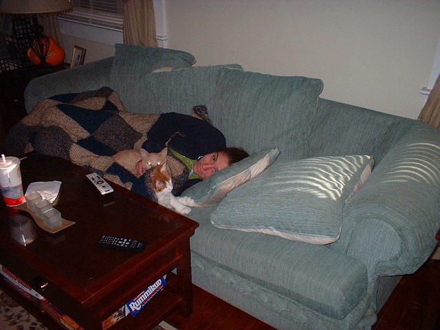2006_1102AFamilySnooze.JPG