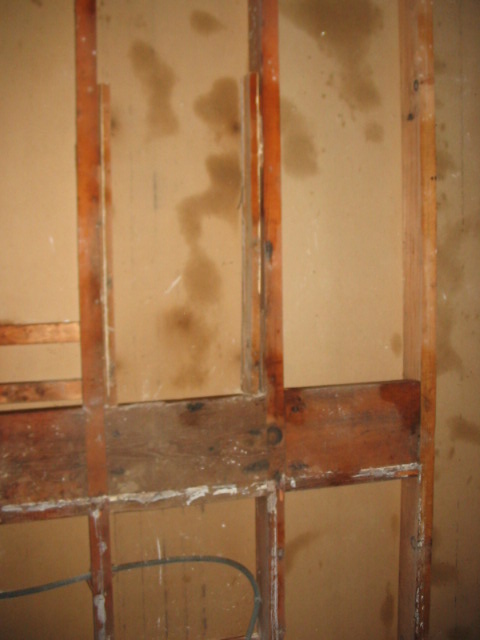 2006_1117GuttedWall2.JPG
