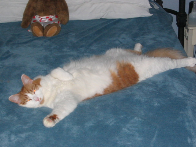 2006_0603_ThatsMyBoy