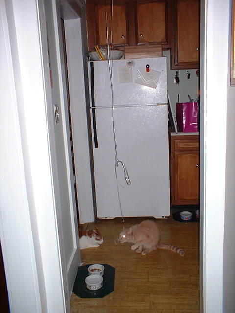 2006_0607_TheyLoveBalloons