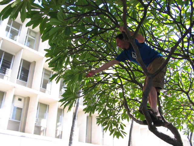 2006_0115_MonkeyNick