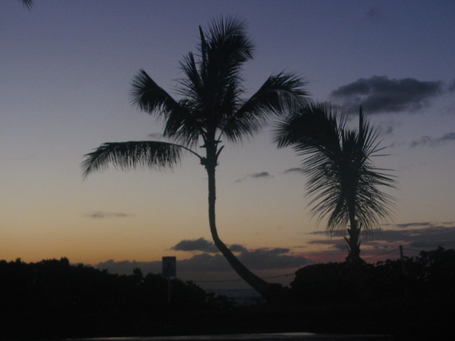 2006_0116_NewWallpaper