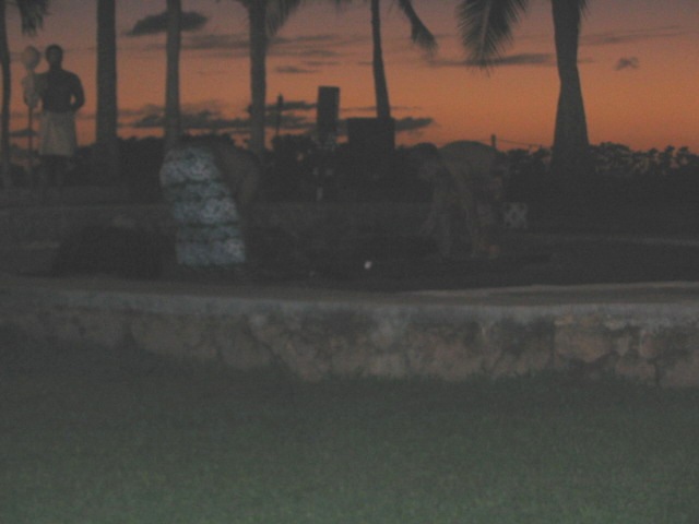 2006_0116_UnearthingThePigFromTheEmu