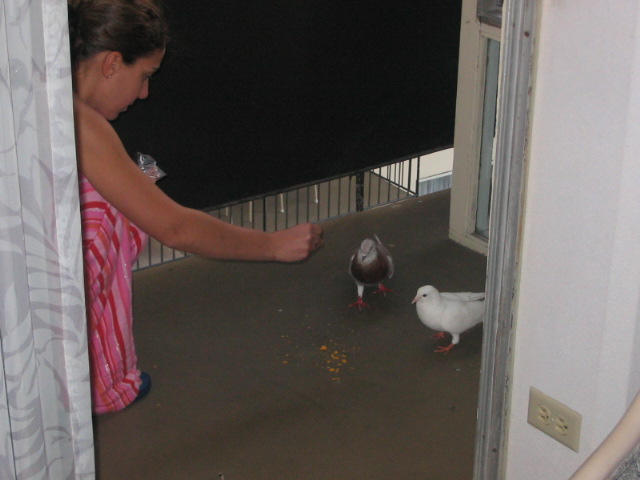 2006_0118_FeedingTheBirds