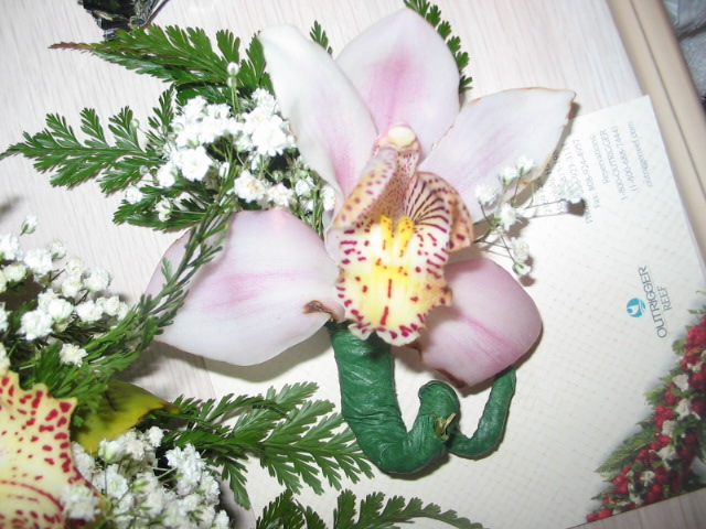 2006_0118_JessesFlower