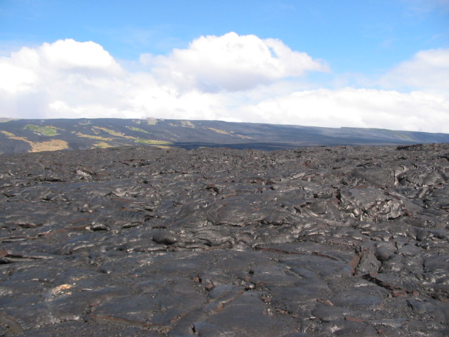 2006_0119_LooksLikeTheTopOfABrownie