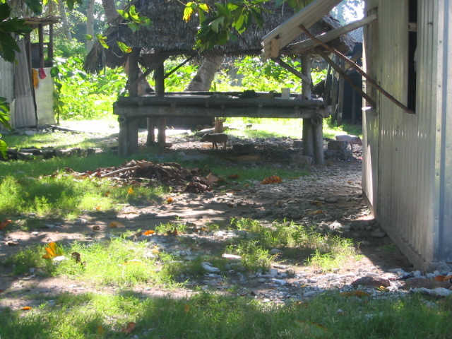 2006_0122_PigsEverywhere