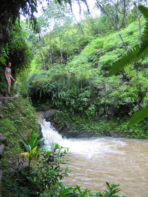 2006_0125_ThinkingAboutJumping