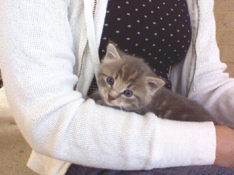 2008_0910my sweetie.jpeg