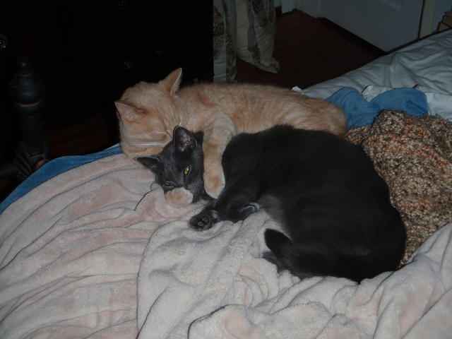 2009_0920SnuggleBuddies.JPG