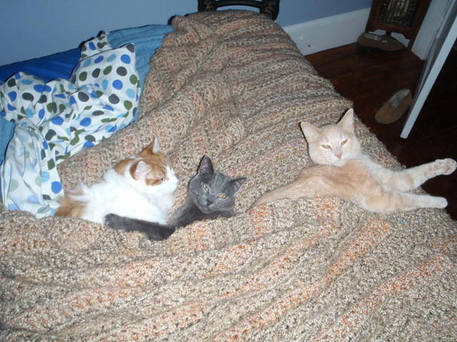 2009_0930SnuggleBuddies.JPG