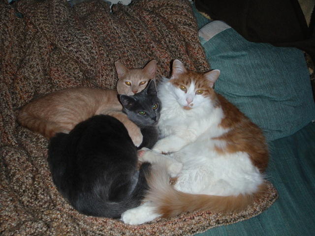 2009_0112Threesome.JPG