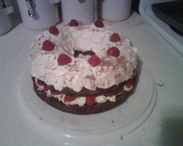 2009_1217XmasPartyCake.jpg