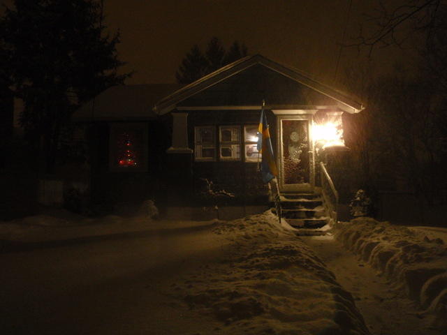 2009_1219Blizzard2.JPG