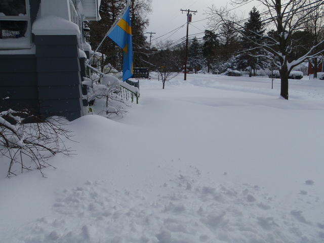 2009_1220Blizzard5.JPG