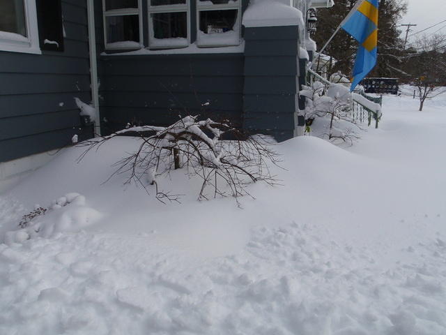2009_1220Blizzard8.JPG