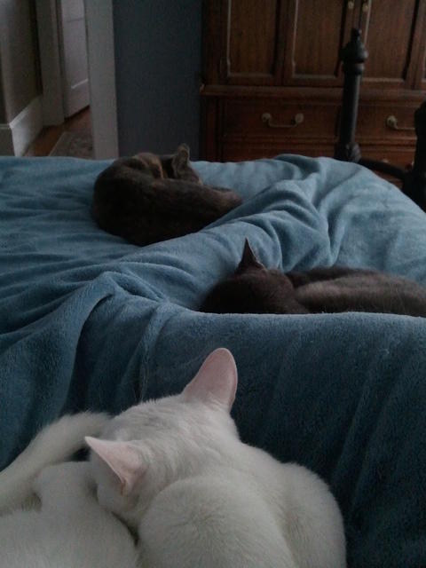 2010-09-09 SnoozingWithTheKids.jpg