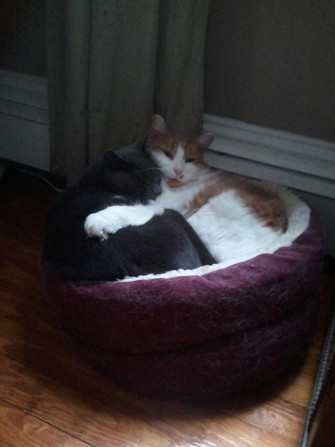 2010-10-20 KhensuAndStetto.jpg