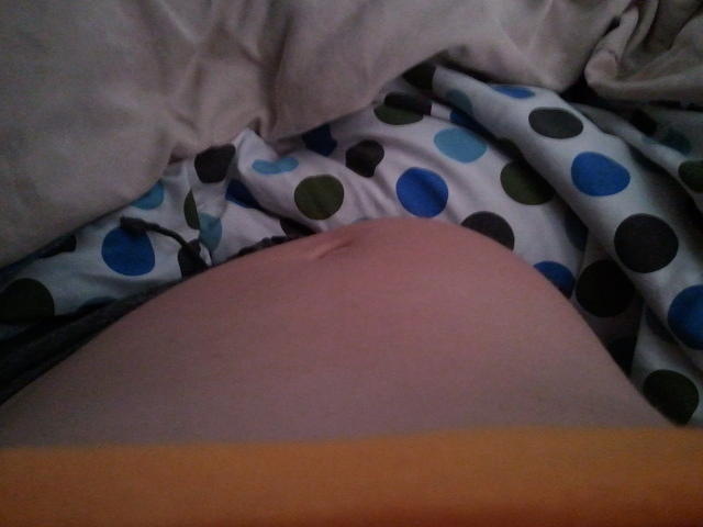 2010-10-23 BjornsSecondEscapeAttempt.jpg