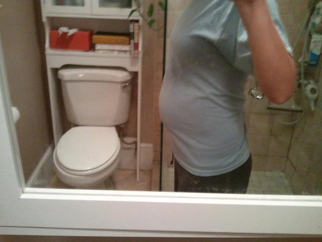 2010-11-16 EightMonthsAlong.jpg