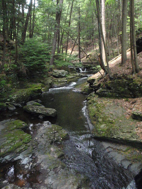 2010_0612Stream.JPG