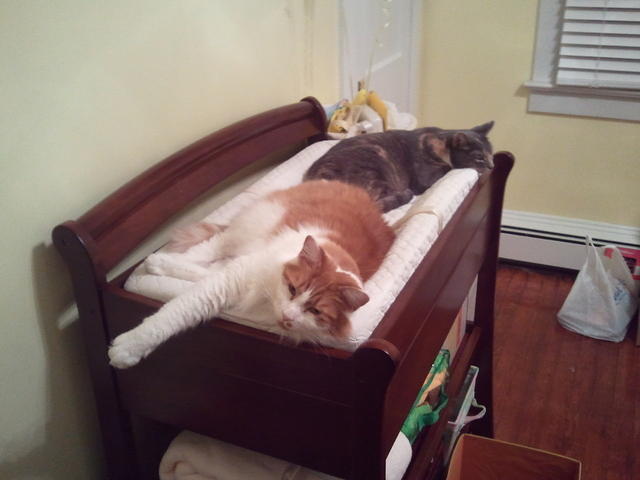 2010-12-09 ThatDidntTakeLong.jpg