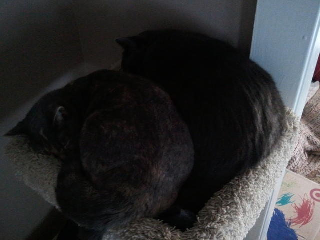 2010-12-14 KhensuAndHemiThatNeverHappens.jpg