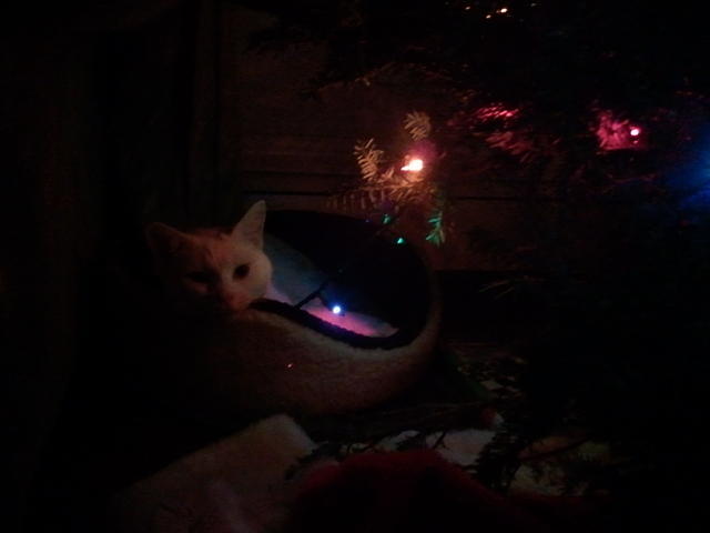 2010-12-24 HathorUnderTheTree.jpg