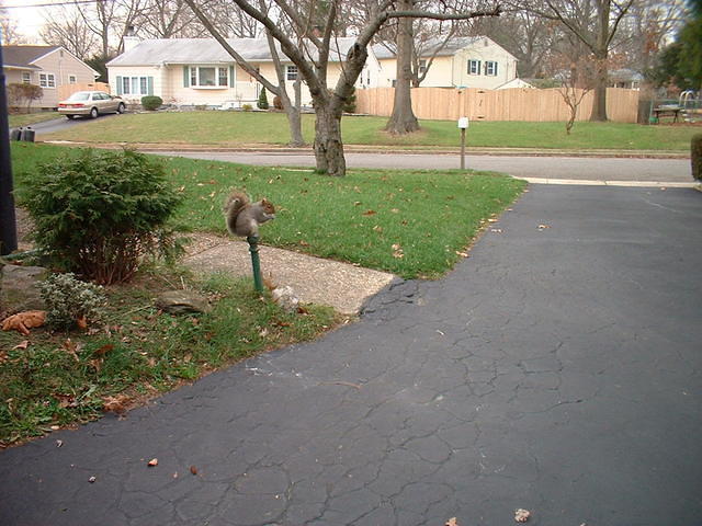 2003 1204InterestingSnackPerch