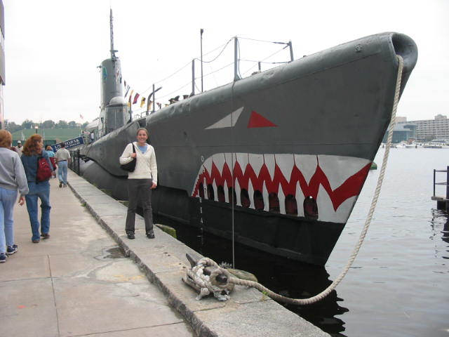 2004 1008 MeByABigSub