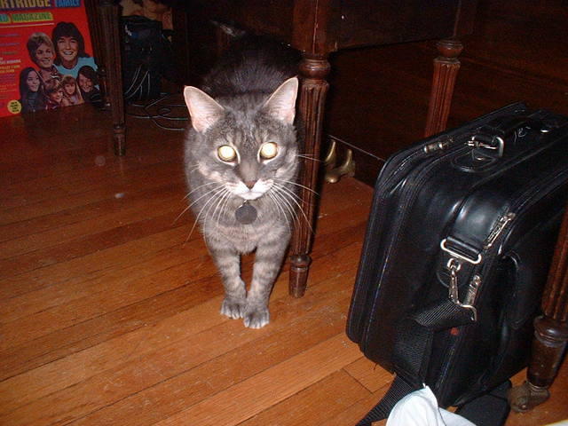 2004 1031 Bennie