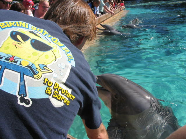 2004 1119 BobPettingADolphin