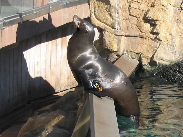 2004 1119 Seal
