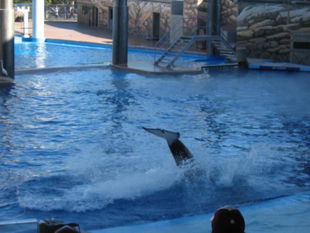 2004 1119 Splashing