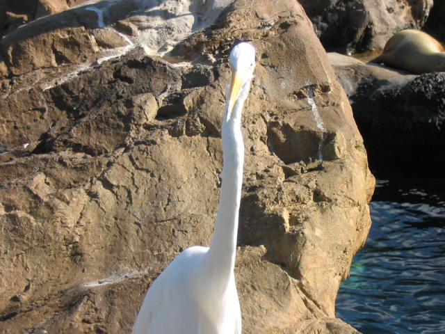 2004 1119 WhatAWeirdFace