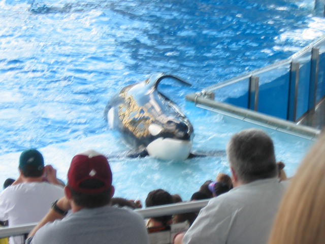 2004 1119 WhattaHoney