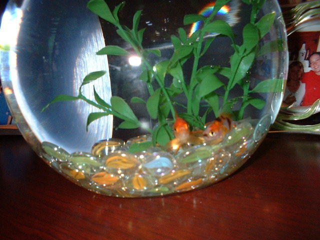 2004 0119CholeysKids