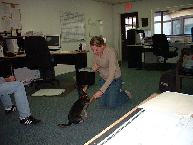 2004 0303SheebaSitting