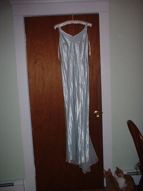 2005 0717 TheFrontOfTheDress