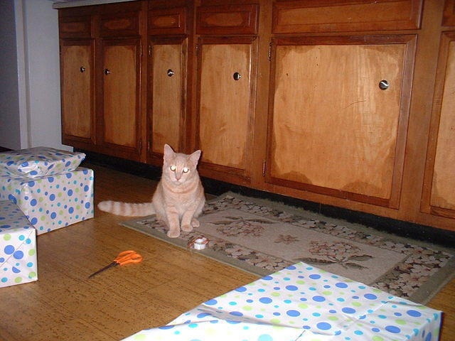 2005 0902 MamasLittleHelper