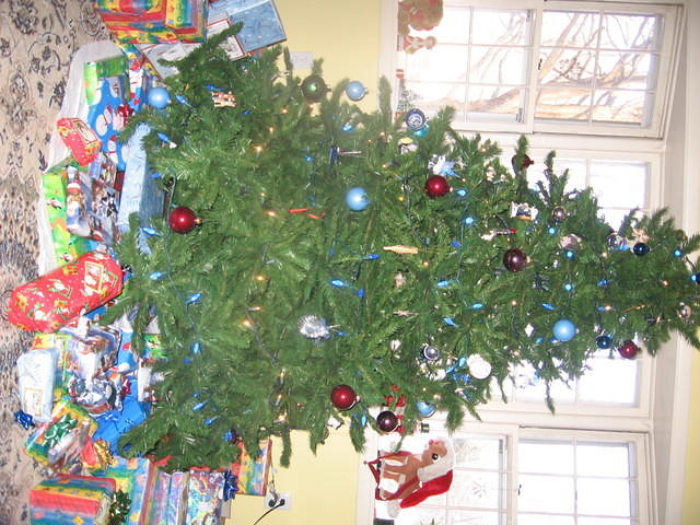 xmas06 051.jpg