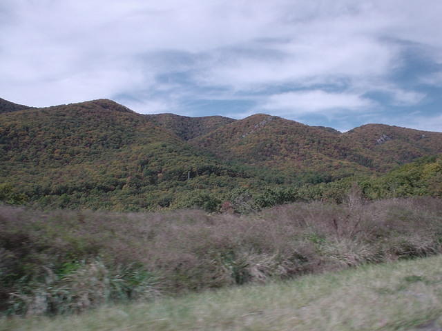 Virginia is for lovers