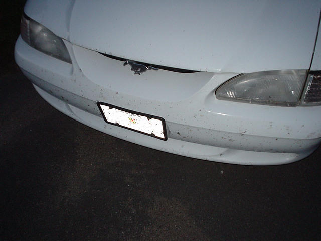 Cleanliness is next to godliness.