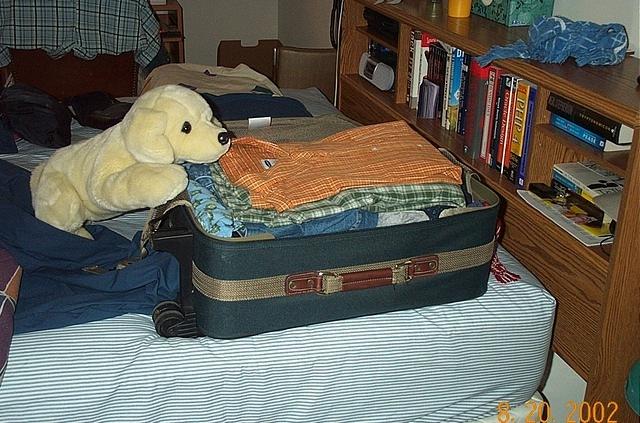 UK - nottingham summer 2002 001