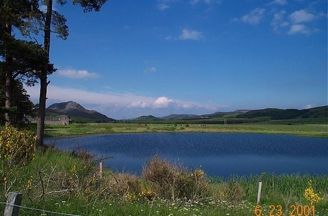 grouse and trout inn