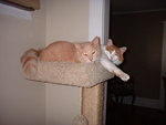 2006_1015TryingToKeepWarm.JPG