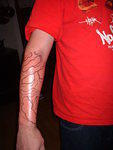 2006_0307_LowerArmOutline.jpg