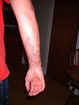 2006_0307_LowerArmOutlineBack.jpg
