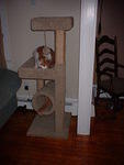 2006_0801TheyLoveTheirNewCondo.JPG